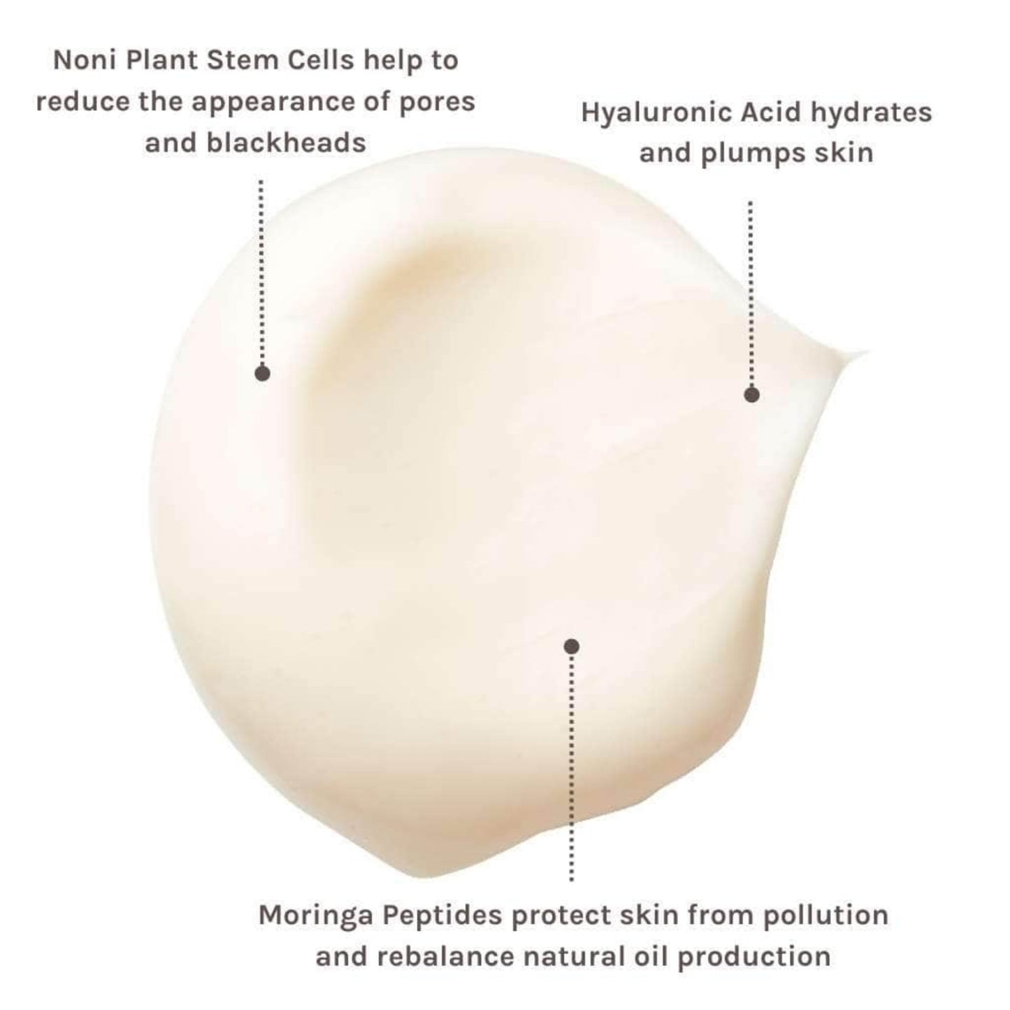 EVOLVE Organic Beauty True Balance Gel Cream - The Slow