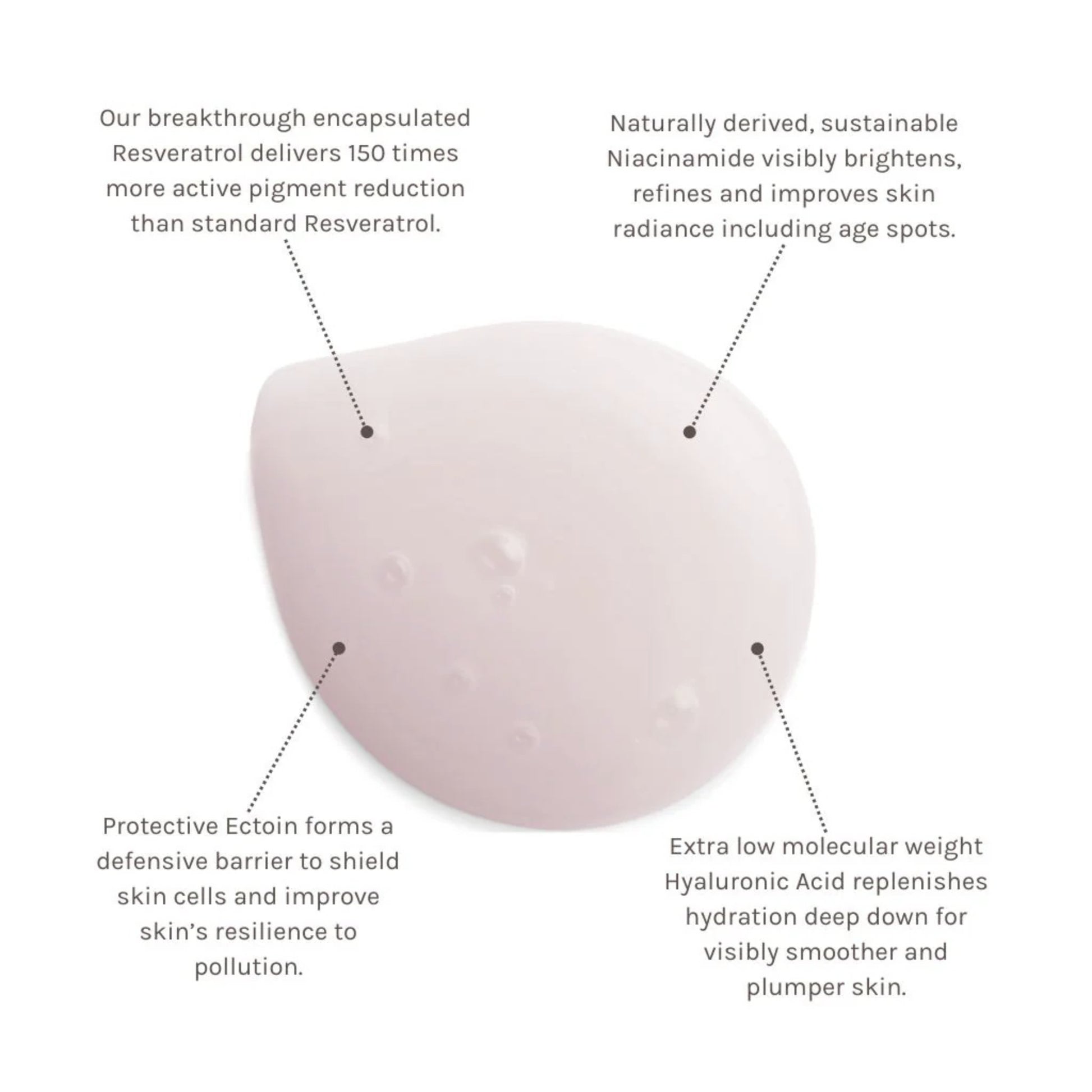 EVOLVE Organic Beauty Resveratrol & Niacinamide Serum - The Slow